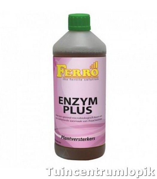 FERRO ENZYM PLUS 1 LITER