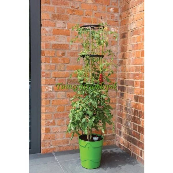 GARLAND GARLAND ZELF BEWATERENDE POT 11 LITER GROEN