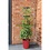 GARLAND GARLAND ZELF BEWATERENDE POT 11 LITER ROOD