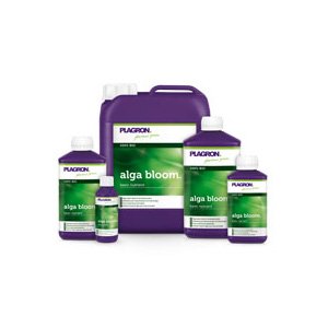 ALGA BLOOM 250 ML