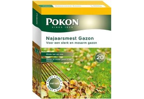 NAJAARSMEST GAZON 1KG