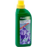 POKON BLOEIENDE PLANTEN VOEDING 500 ML