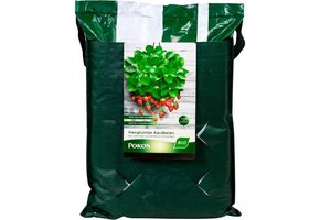 BIO HANGTUINTJE AARDBEIEN 10 LITER
