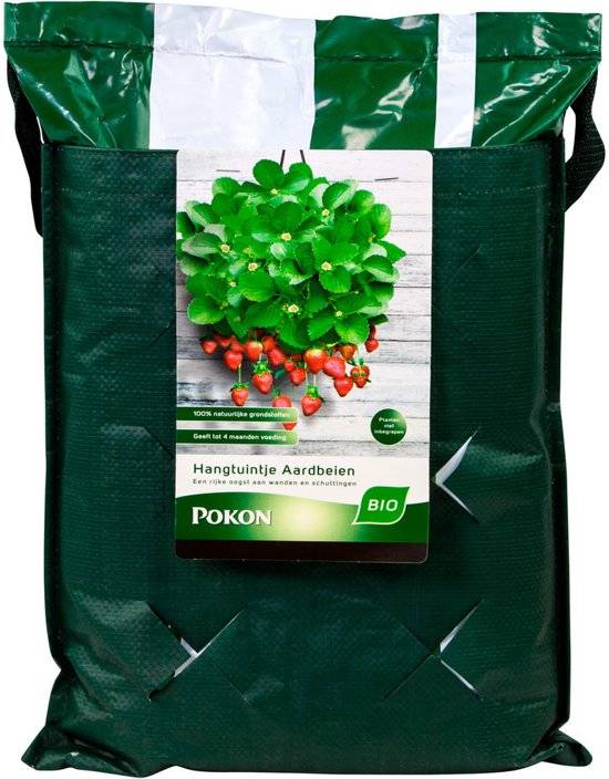 POKON BIO HANGTUINTJE AARDBEIEN 10 LITER