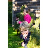 ECOSTYLE BUXUS BLADVOEDING GEBRUIKSKLAAR 750 ML