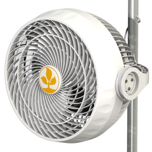 SECRET JARDIN MONKEY FAN 18 CM (7") - 30W