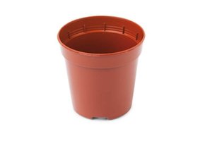 RONDE POT SB 0.08 LITER Ø 5.5 X 5.1 CM VERPAKT PER 35 STUKS