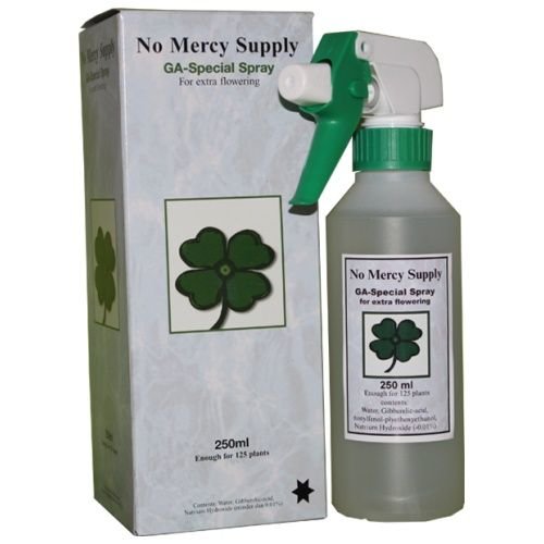 No Mercy Supply GA Special Spray 250 ml No Mercy Supply GA Special Spray 250 ml