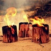 HAARDHOUT & FAKKELS