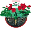 BLUMAT