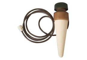 KAMERPLANT XL VOOR POTTEN V/A 15 CM