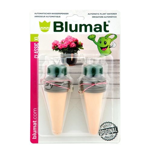 BLUMAT KAMERPLANT XL VERPAKT PER 2 VOOR POTTEN VANAF 15 CM