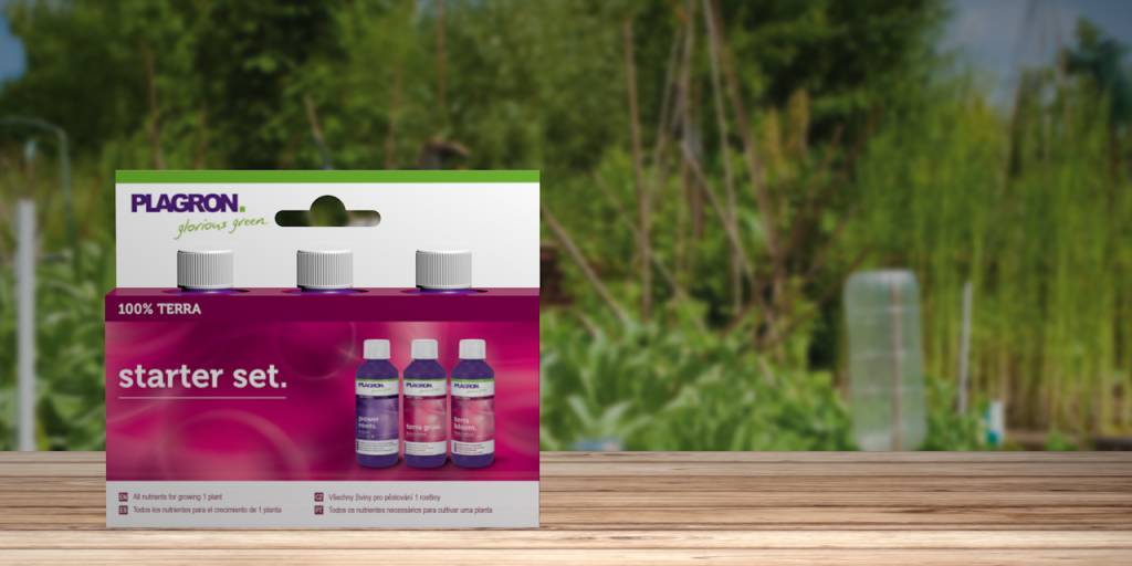 PLAGRON STARTER SET 100% TERRA