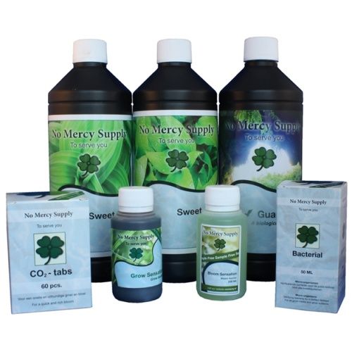 NO MERCY SUPPLY STARTERSSET