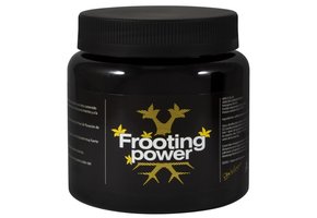 FROOTING POWER 325 GRAM