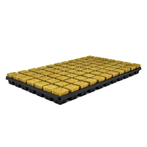 CULTILENE SBS STEKPLAAT 77 3.5X3.5X4CM PER TRAY