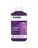 PLAGRON POWER ROOTS 500 ML