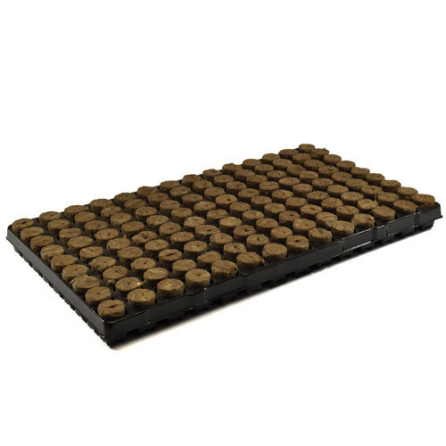 Agra Wool SPEEDGROW ZAAI & STEK PLUGGEN 126 (LOSSE TRAY) Agra Wool SPEEDGROW ZAAI & STEK PLUGGEN 126 (LOSSE TRAY)