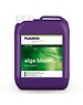 PLAGRON ALGA BLOOM 5 LITER