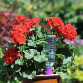 HOZELOCK AQUASOLO 3+1 SET XL PAARS VOOR POTTEN Ø25 - 80CM