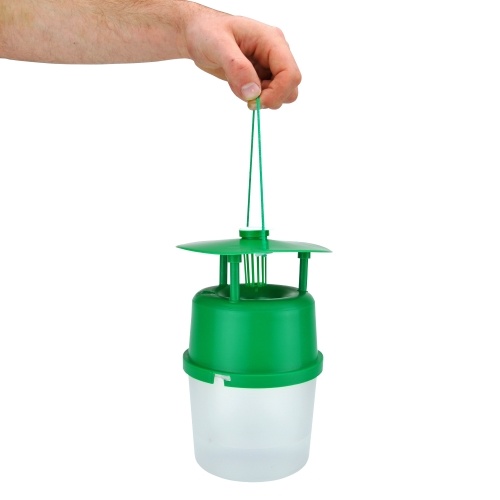 RUSSELL IPM KLEINE MOTTENVAL (LOS: ZONDER FEROMOON)