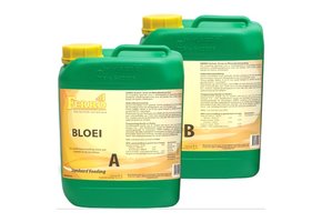 STANDAARD BLOEI A+B 5 LITER