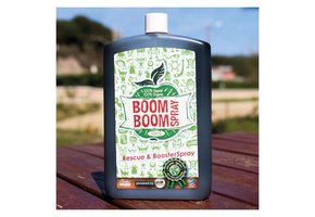 BOOM BOOM SPRAY 250 ML