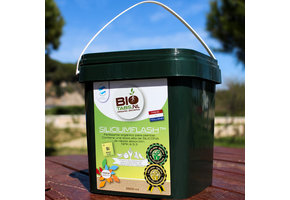 SILICIUM FLASH 9000 ML