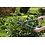 GARDENA GARDENA HEGGENSCHAAR EASYCUT 20 CM