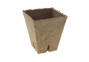 POT VIERKANT 8 CM PER 10 STUK