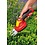 WOLF-GARTEN WOLF-GARTEN LI-ION POWER FINESSE ACCU GRASSCHAAR 30 R