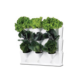 MINIGARDEN VERTICAL 3 MODULE STARTER SET - KLEUR WIT