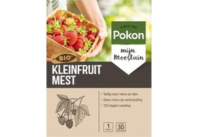 BIO KLEINFRUIT VOEDING 1 KG