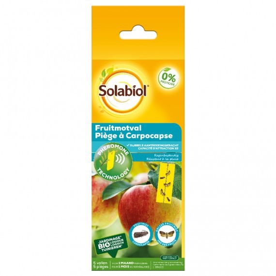 SOLABIOL FEROMOONVAL FRUITMOT 5 STUKS