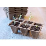 NATURE TURFPOTTRAYS 5X5X5 CM
