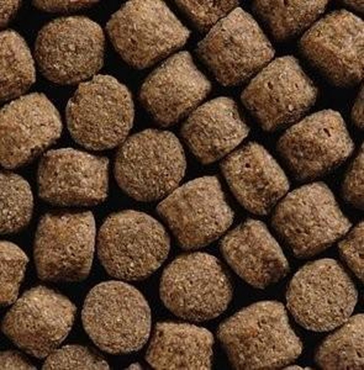 NISHIKIGOI-Ô Health koivoer 6 mm 5kg