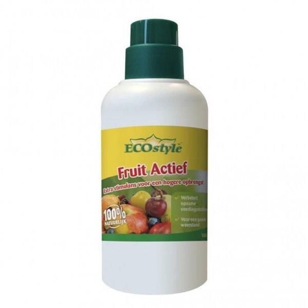 ECOSTYLE ECOSTYLE FRUIT ACTIEF 500 ML