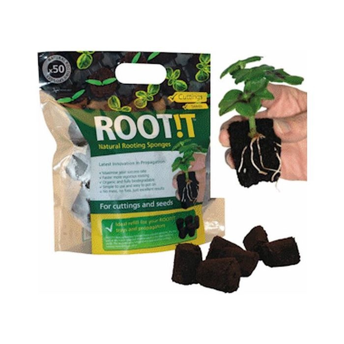 ROOT!T Wortelsponzen  50 stuks