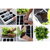 Karoo greenwall verticale tuin grijs