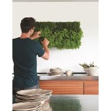 Karoo greenwall verticale tuin grijs