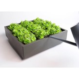 Karoo greenwall verticale tuin grijs