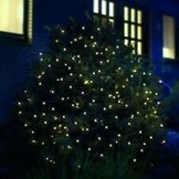Star-Max LED-lichtnetwerk met 100 LED's