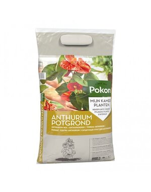 POKON  ANTHURIUM GROND 5 LITER