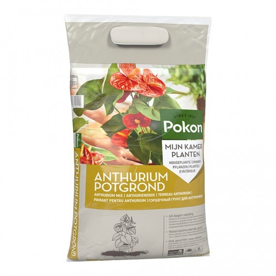 POKON ANTHURIUM GROND 5 LITER