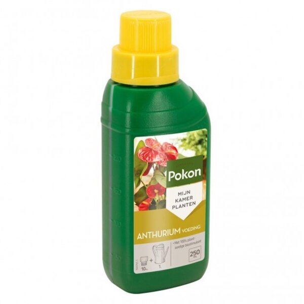 POKON  POKON ANTHURIUM VOEDING 250 ML