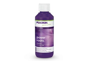 PLAGRON POWER ROOTS 100 ML