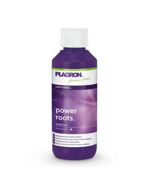 PLAGRON PLAGRON POWER ROOTS 100 ML