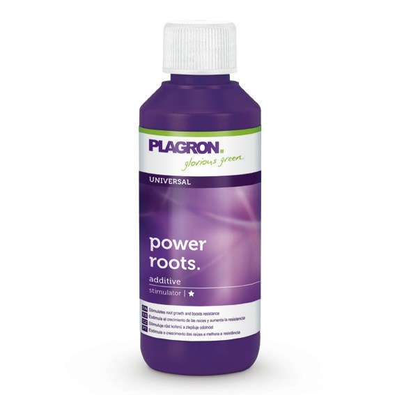 POWER ROOTS 100 ML