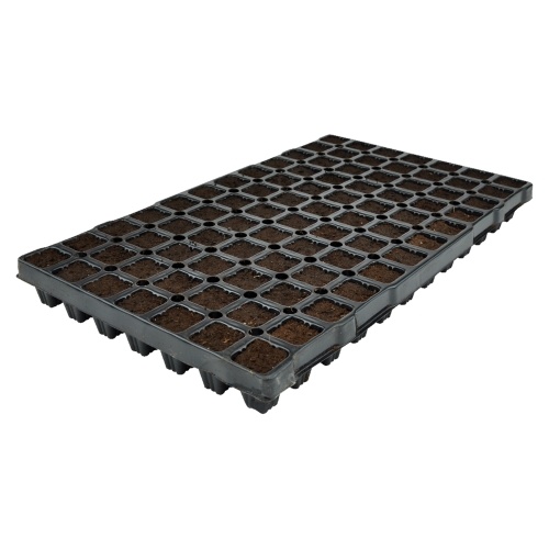 DUTCHVEGA X-PLUG LIJMPLUGGEN 84 PER TRAY PER DOOS (6 TRAYS = 504 STUKS)