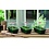 GARLAND GARLAND MINI HIGH DOME PROPAGATOR (SET VAN 3) 17X10X12.5CM